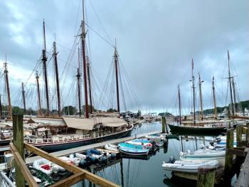 Camden Windjammer Weekend, 2025. (Photo courtesy Claudia Griffiths)