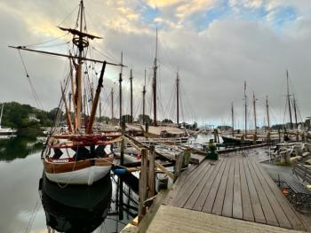 Camden Windjammer Weekend, 2025. (Photo courtesy Claudia Griffiths)
