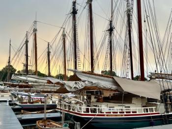 Camden Windjammer Weekend, 2025. (Photo courtesy Claudia Griffiths)