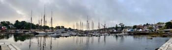 Camden Windjammer Weekend, 2025. (Photo courtesy Claudia Griffiths)