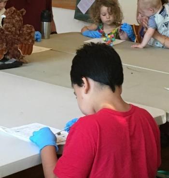 Examining owl pellet contents at Merryspring Nature Center. (Photo courtesy Merryspring Nature Center)