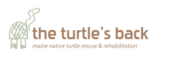 The Turtle’s Back, Inc. logo