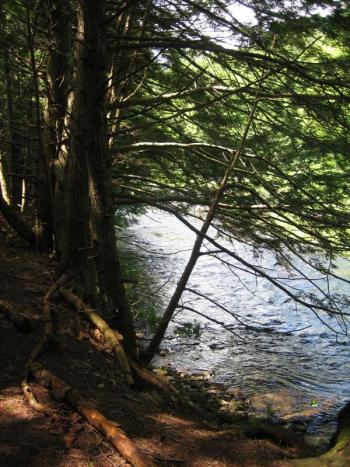 Stover Trail. (Photo by Michael Harris)