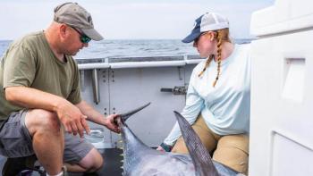 Walt Golet, (left) and Kay Zipp capture, tag and release Atlantic bluefin tuna in the Gulf of Maine for research in August 2023. Golet co-authored a recent study, led by Sammi Nadeau, that illustrated a shift in the tuna's diet and described the role of foraging in the tuna’s lifecycle. (Photo courtesy University of Maine)