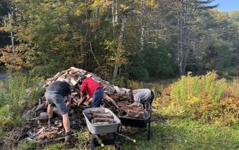 Wood Stacking