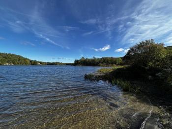 Hosmer Pond, Camden, has fish, ducks, loons, turtles and other wildlife sharing the environment. (Photo by Lynda Clancy)