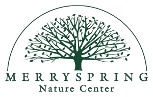 Merryspring Nature Center logo