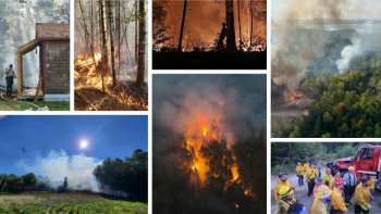photos of wildfires.