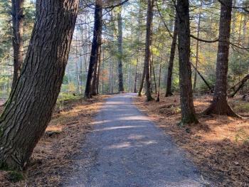 The new accessible trail winds through hemlock-shaded woods near downtown Damariscotta. (Photo courtesy Coastal Rivers Conservation Trust) Wide path through forest area