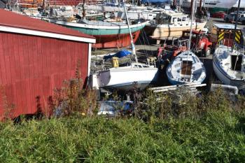 Another view, with dark bruise visible on one sailboat
