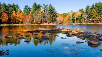 Fernald's Neck Preserve. (Photo by Lynn Luzzi)