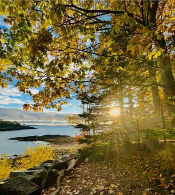 (Photo courtesy Beth Davis) (Photo courtesy Beth Davis)