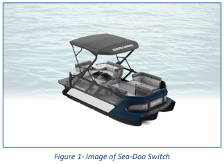 Photo of a Sea-Doo Switch