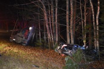 Two vehicles rest against trees