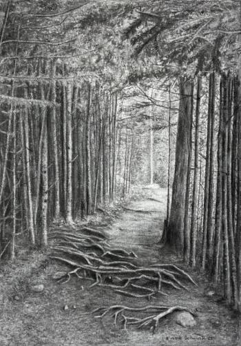 Dry stream through the forest with sunlight in the background