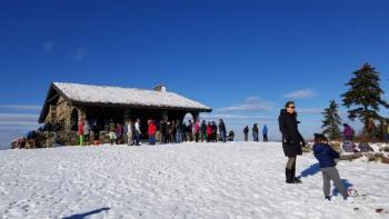winter scene at Beech Hill Preserve