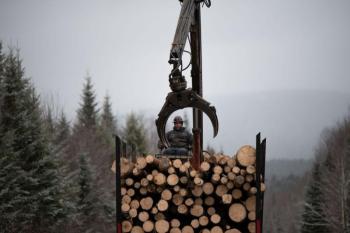 a man operates a logging machine to stack cut pieces on the back of a truck