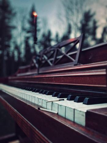 Photo courtesy Finlay Donaghy