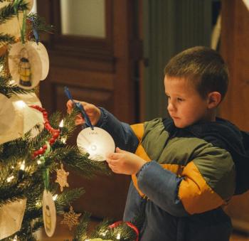boy analyzes ornament tree