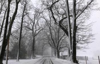 Russell Ave., Rockport (Photo by Lynda Clancy)
