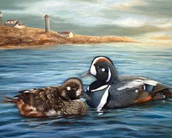 painting of two sea birds