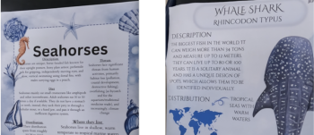 Computer graphic project posterboards