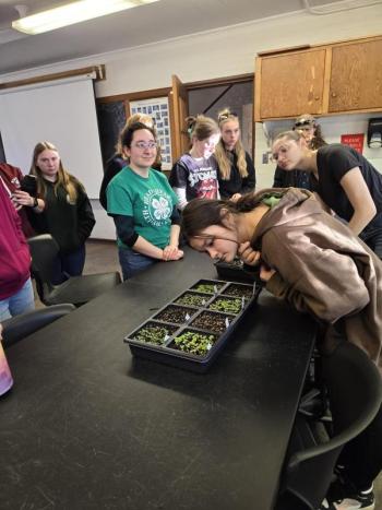 Students analyze seedlings