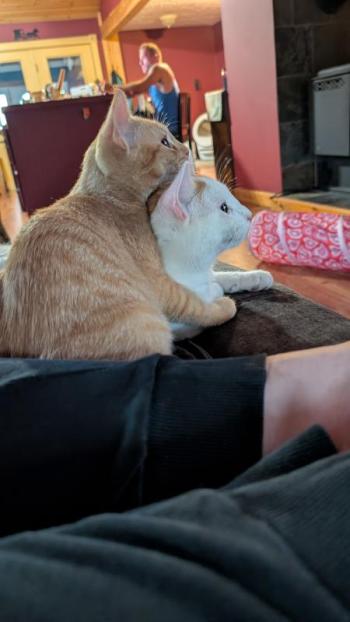 With his brother Peanut. Photo courtesy Natalie Dame