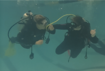 two divers in the water