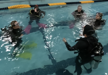 circle of divers in a pool