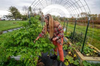 woman tends to plants under arched wire trellis