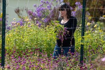 Woman tends to flowers behind a chickenwire fence
