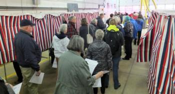 people stand in line to vote.