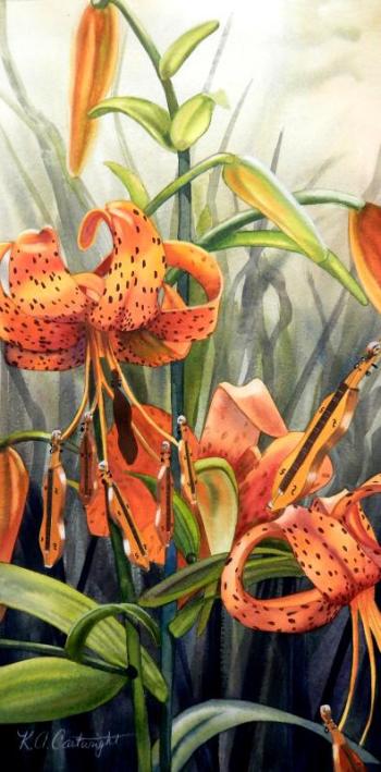 Dulcimer Lily. Photo courtesy Katharine Cartwright