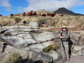 Bob Gastaldo with cows in background