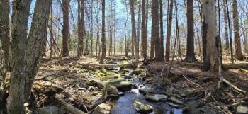 Stream surrounded by trees and boulders