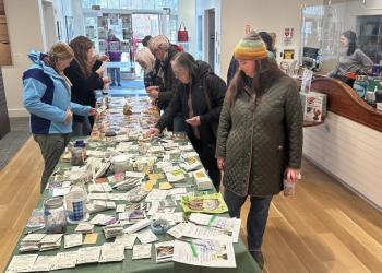 Browsing the free seed packets from last year. Photo courtesy Rockport Public Library