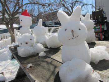 Snow bunnies! Photo by Kay Stephens