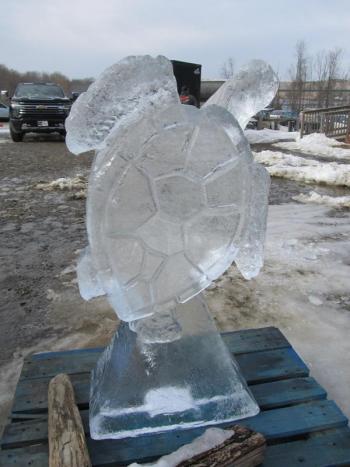 Photo by Kay Stephens