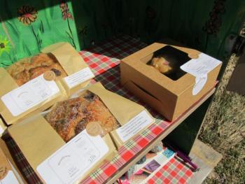 Photo by Kay Stephens