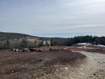 (Photo by Lynda Clancy)