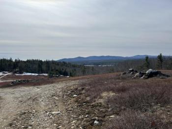 (Photo by Lynda Clancy)