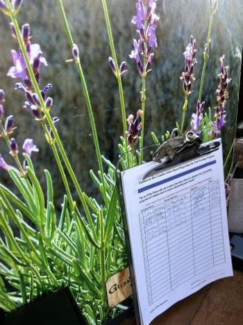 A petition on the counter at Lavender, a downtown Camden store. 