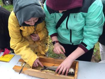 two people measure a fish