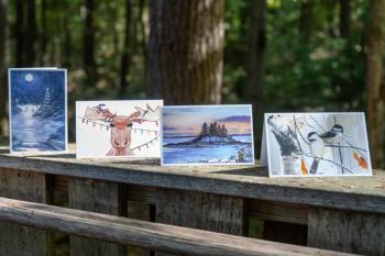 Four cards displayed on a wooden railing