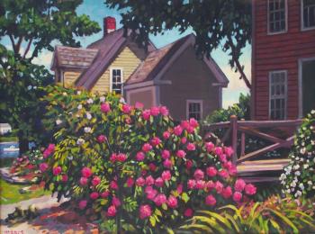 painting of pink rose bush in front of houses