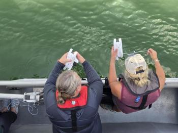 Teachers gathering oceanographic data. Courtesy of Bigelow Laboratory