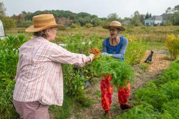 one woman hands a heap of carrots to another woman