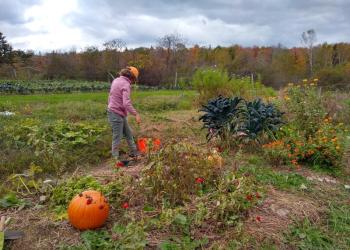 woman stands in autumn garden