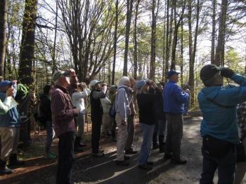Group of adults looking up